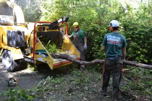 tree services East Alton